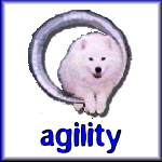 Agility